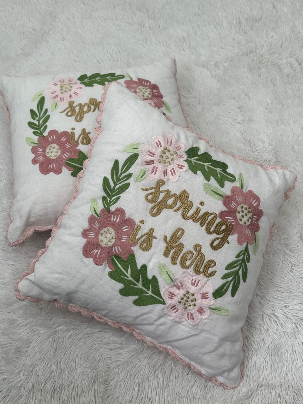 🌴 Set of 2 Spring Embroidered & Velvet Throw Pillows